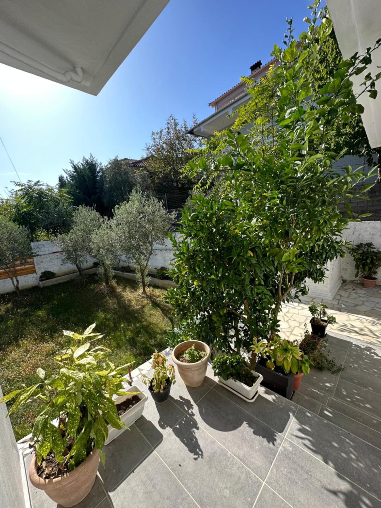 Villa Braho Gjirokaster Bagian luar foto