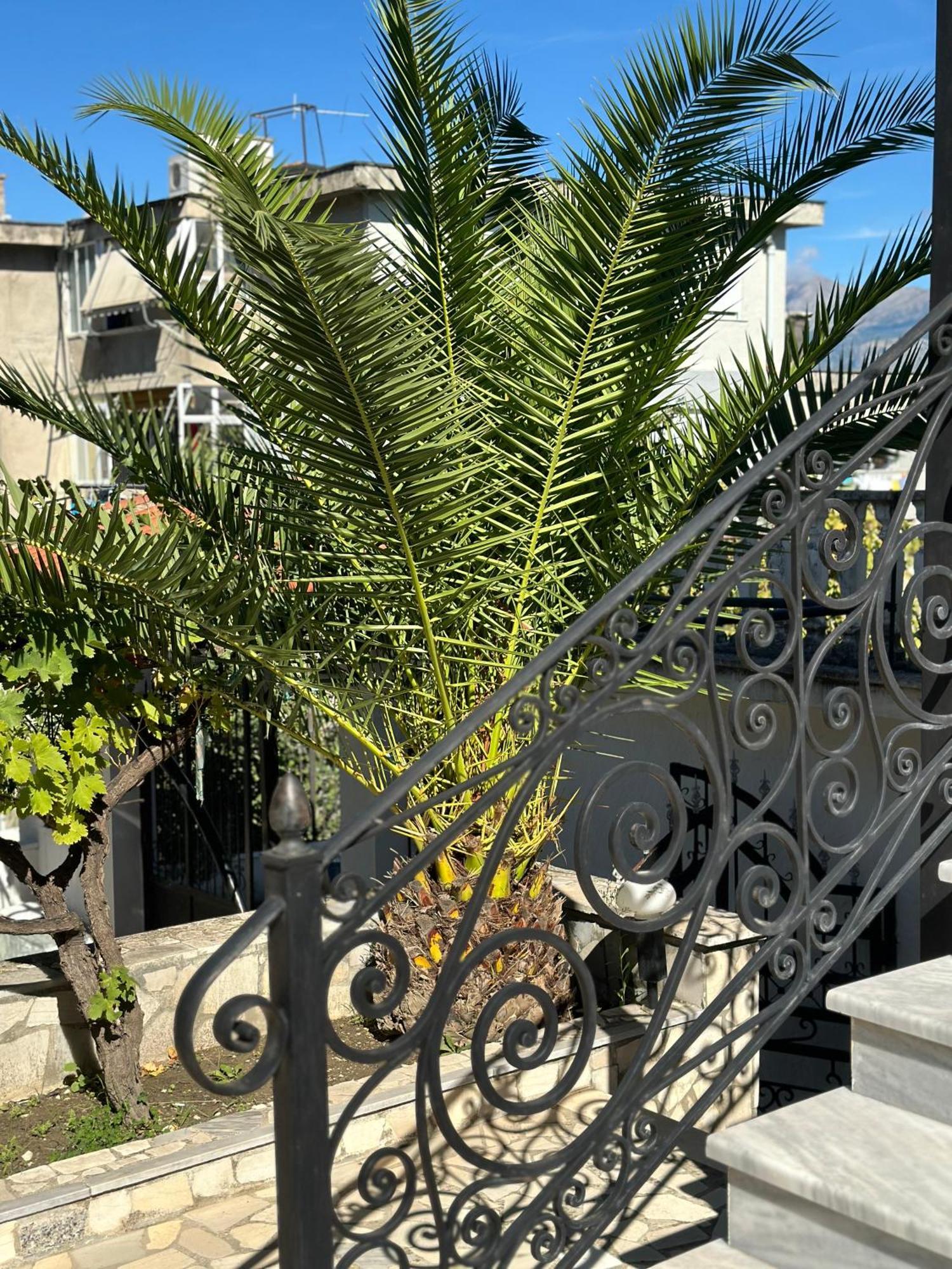 Villa Braho Gjirokaster Bagian luar foto