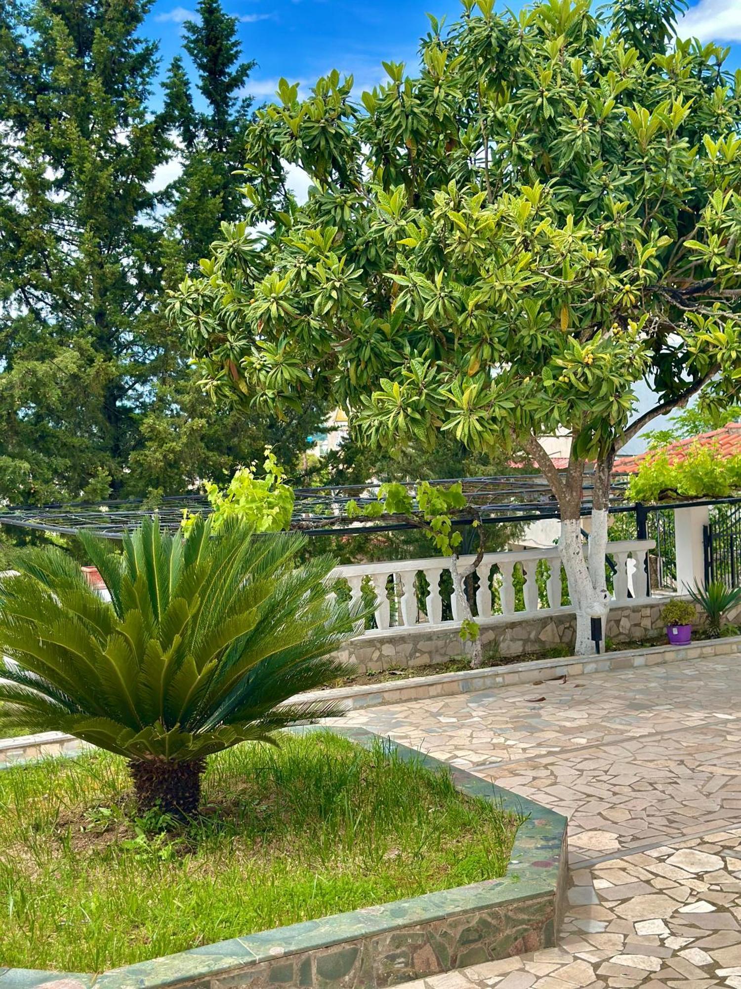 Villa Braho Gjirokaster Bagian luar foto